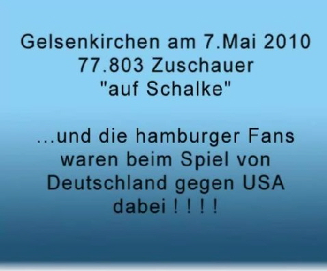 WM2010aufSchalke